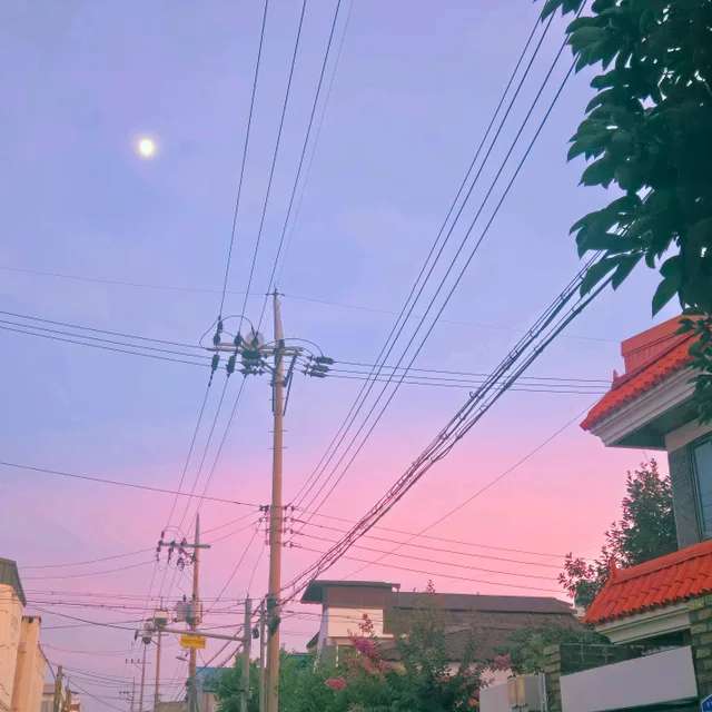우디