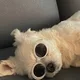 악이