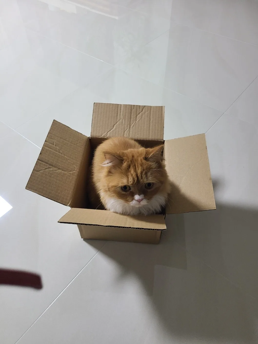 새로