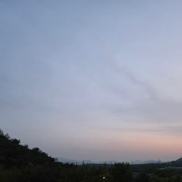 거래고파