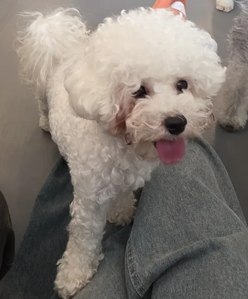 뿡뿡