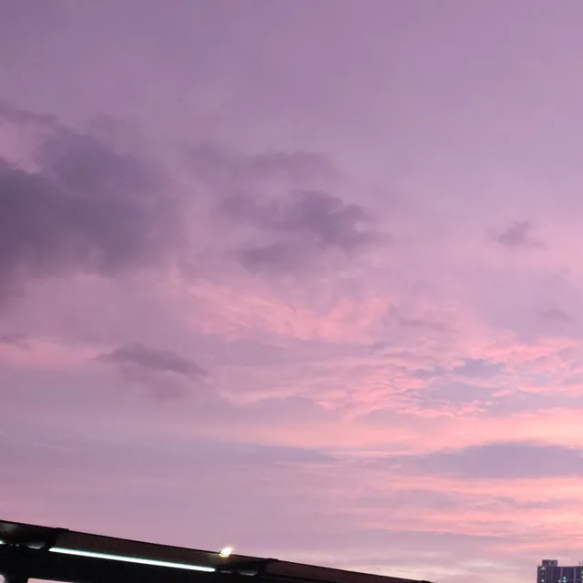 트니트니