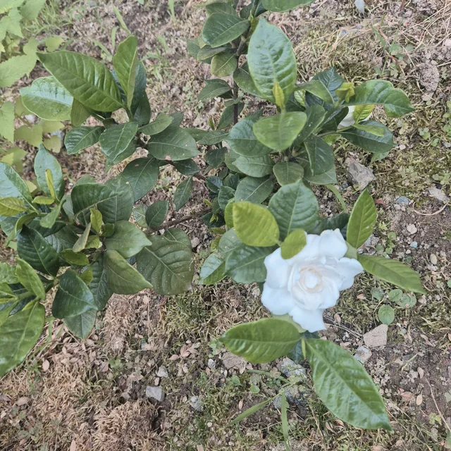 안녕하세요