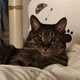 sammy