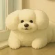 광자