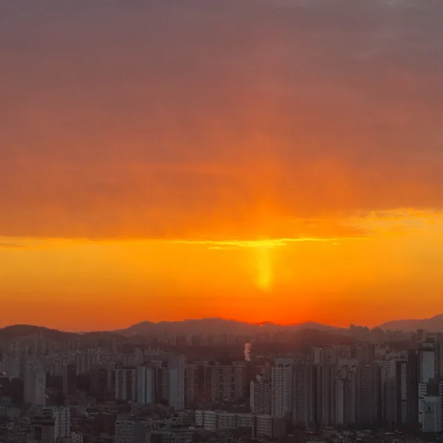 해피우먼