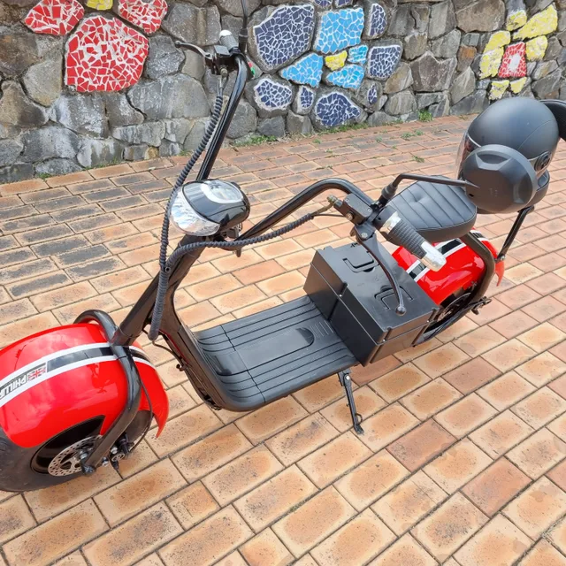 필립스모터스