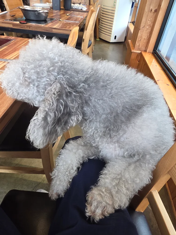 한송이