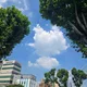 엘렌