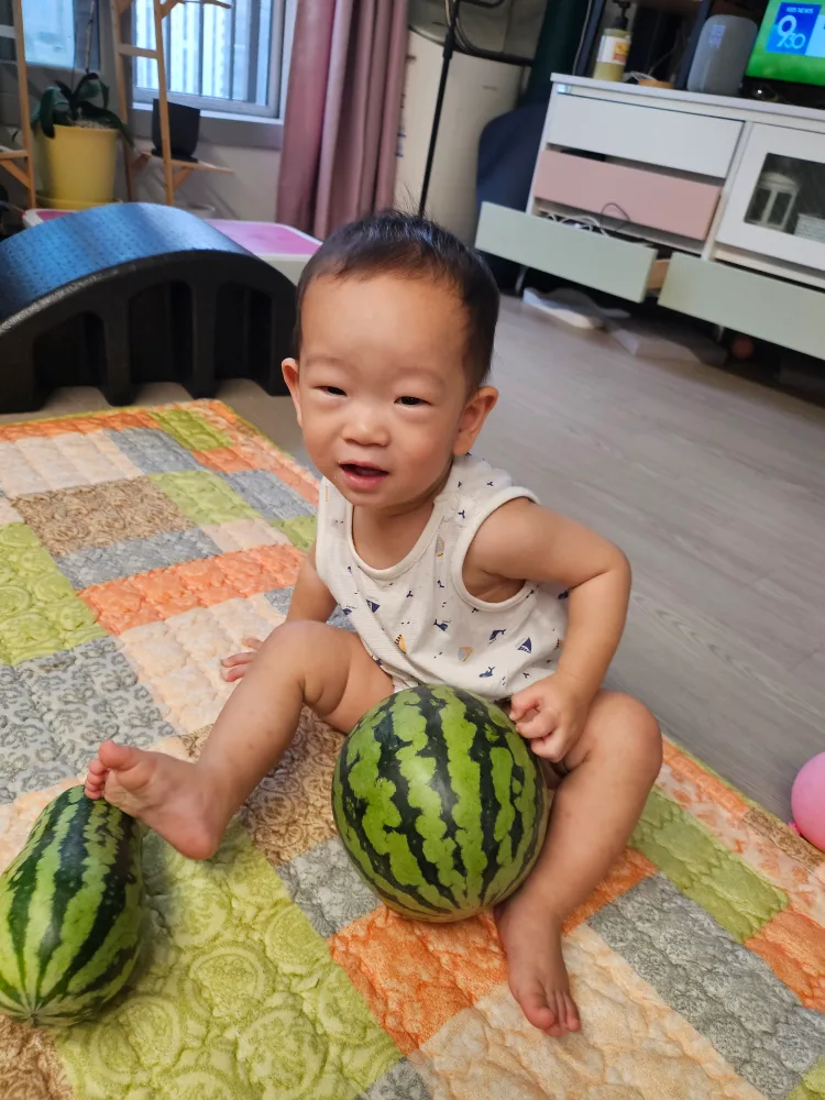 후리지아향
