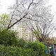당근케익