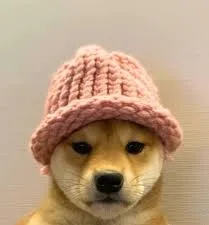 가격안깎아드려요