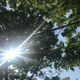 예산댁