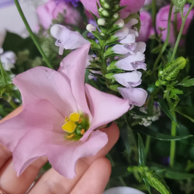 언제나
