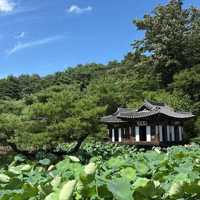 슈슈퍼노바