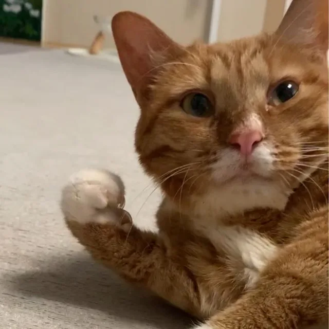 sk8erboi