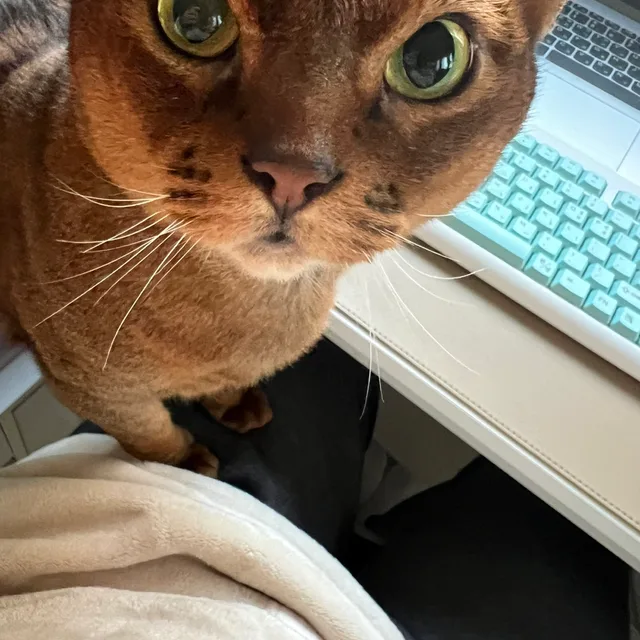 마블