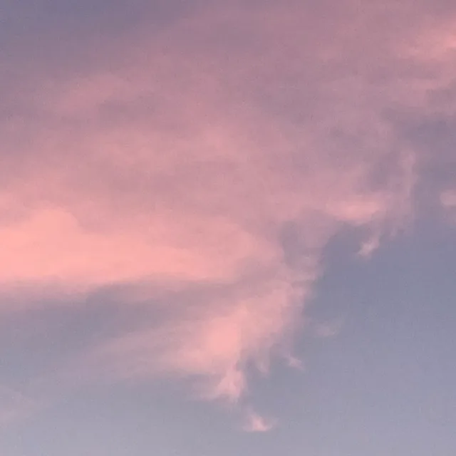 친절한이유