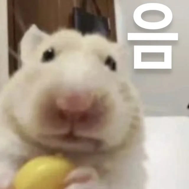 안녕하세뇨