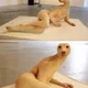 사기꾼잡는사람