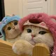 모모