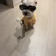 캡틴
