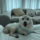 미니멀리스트되고싶당