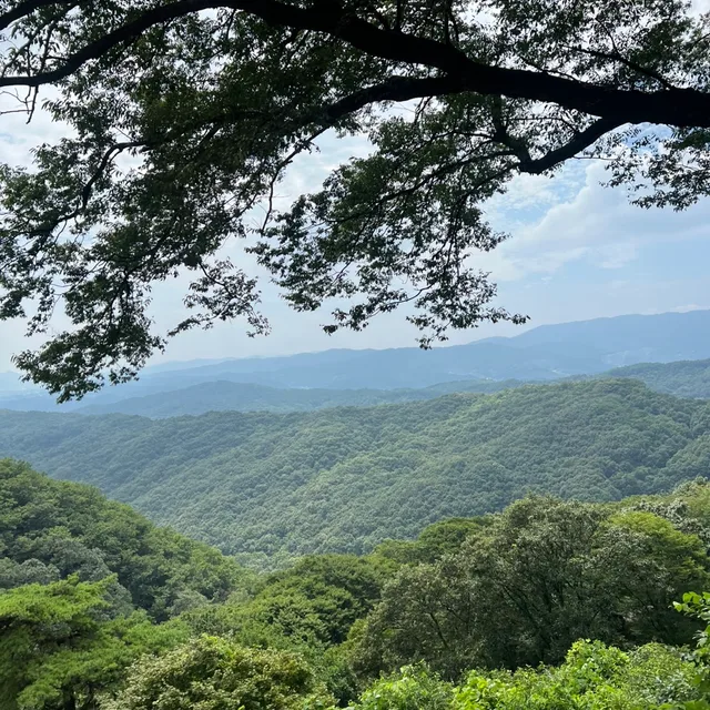 초록립스틱