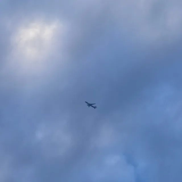 한여름