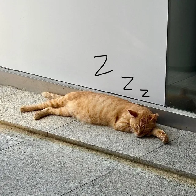 룰루