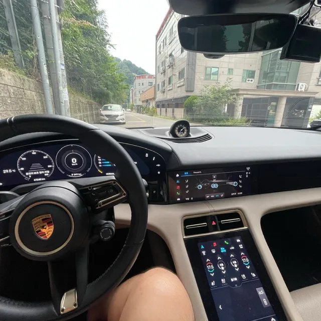 식용금붕어