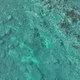 그대이름바람