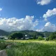 닭도리탕