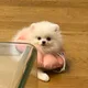 라떼우유
