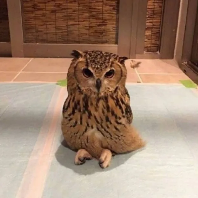 이삼