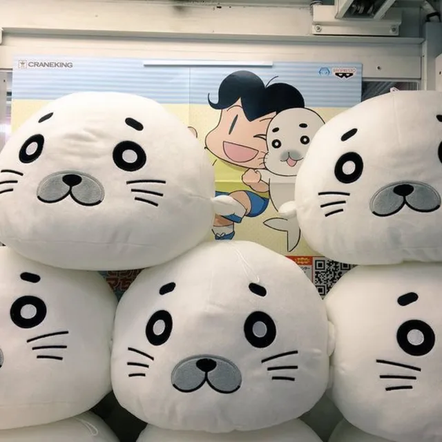 쥬시콜렉터