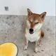 하루맘