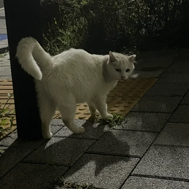 예은