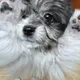밍밍오리