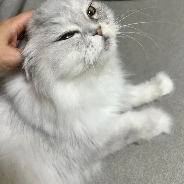 세루해