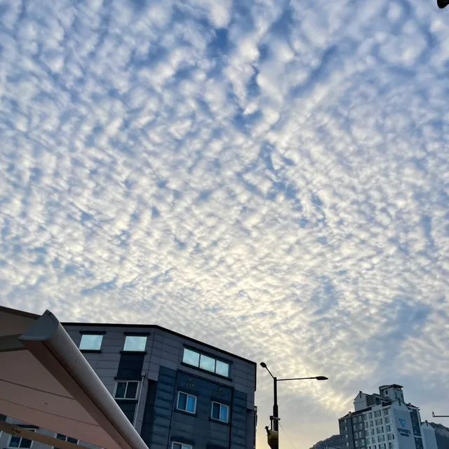 그레이프
