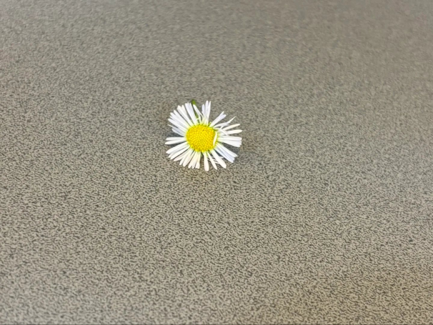 꾸꾸
