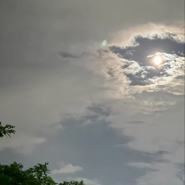 상대성