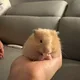 허허
