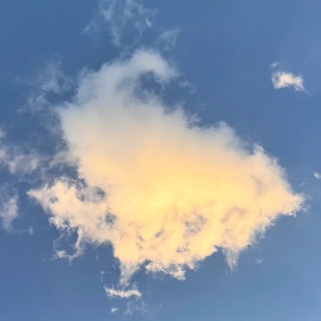 푸름