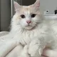 루이마리