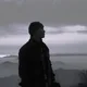 서대일