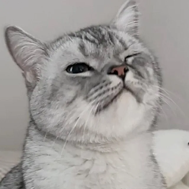 꾸꾸깅