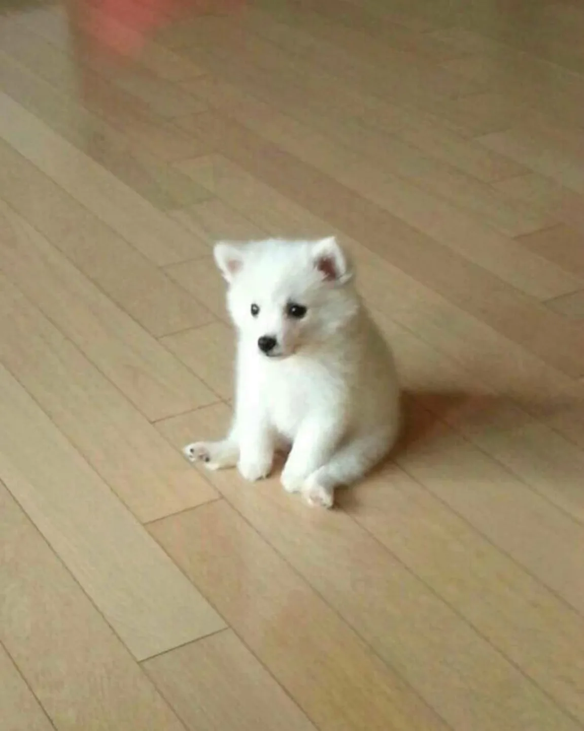 찌구