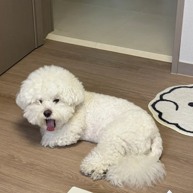 나박이